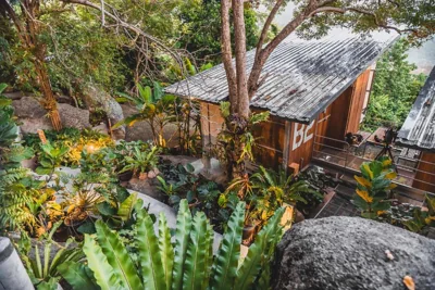 Shiva Lodge – 照片 13