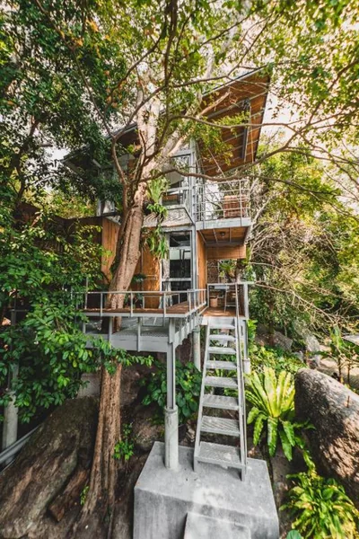 Shiva Lodge – 照片 14